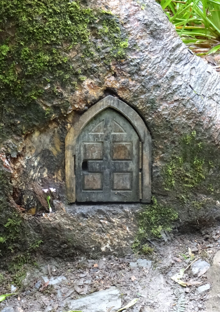 Man sieht eine Holztür in einem Baumstamm.